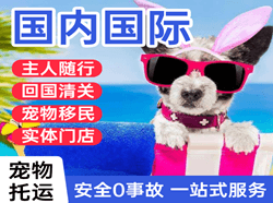 敦煌机场空运国际宠物托运 【国